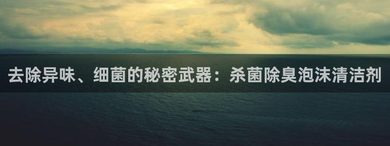 尊龙AG发财网：去除异味、细菌的秘密武器：杀菌除臭泡沫清
