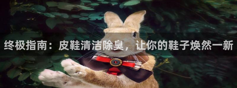尊龙是什么软件：终极