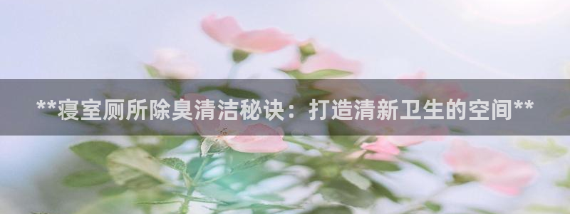 尊龙凯时官方网站：**寝室厕所除臭清洁秘诀：打造清新卫生