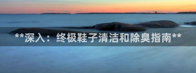 Ag尊龙平台：**深入：终极鞋子清洁和除臭指南**