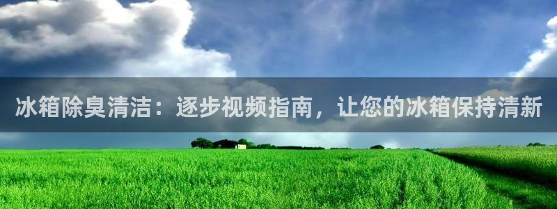 尊龙凯时是不是合法：冰箱除臭清洁：逐步视频指南，让您的冰