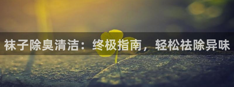 尊龙人生就是傅官网：袜子除臭清洁：终极指南，轻松祛除异味
