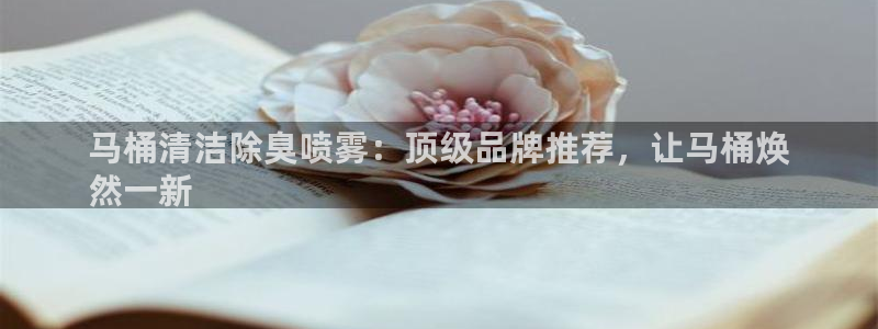 尊龙凯时ag旗舰厅官：马桶清洁除臭喷雾：顶级品牌推荐，让