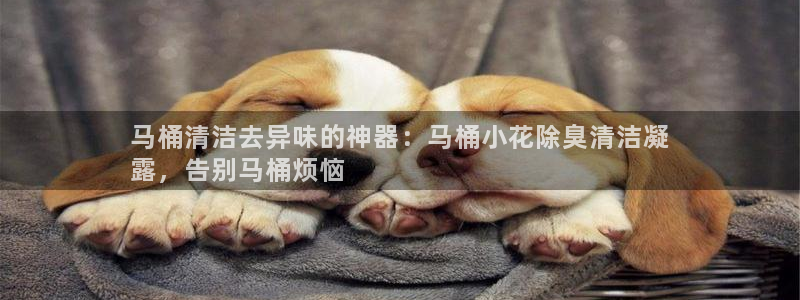尊龙z6网址：马桶清洁去异味的神器：马桶小花除臭清洁凝
