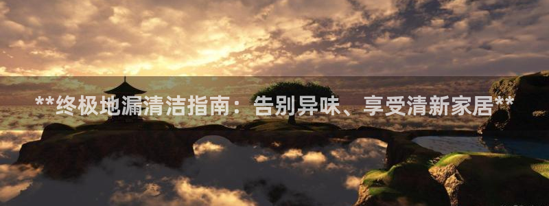 尊龙app官网登录：**终极地漏清洁指南：告别异味、享受