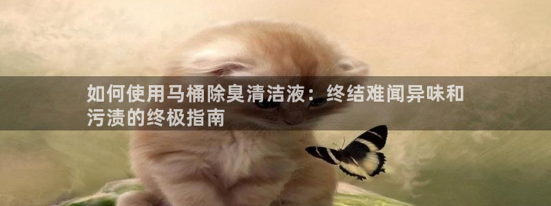 尊龙凯时网站首页手机登录：如何使用马桶除臭清洁液：终结难