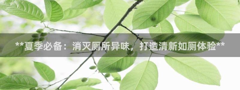 尊龙人生就是博AG旗舰厅：**夏季必备：消灭厕所异味，打