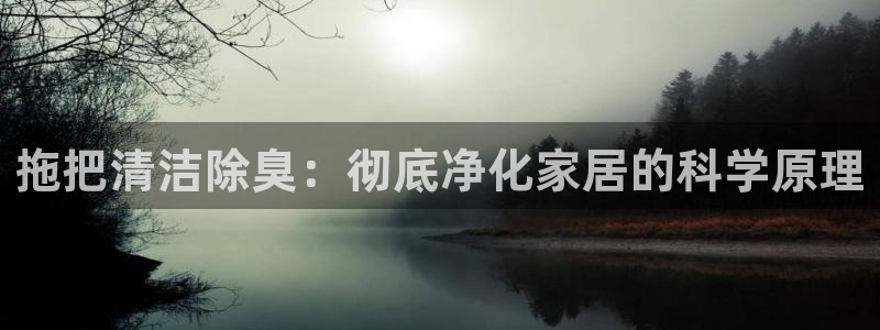 尊龙凯时人生就博：拖把清洁除臭：彻底净化家居的科学原理