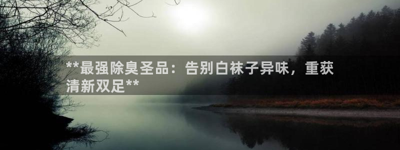 尊龙新版app首页：