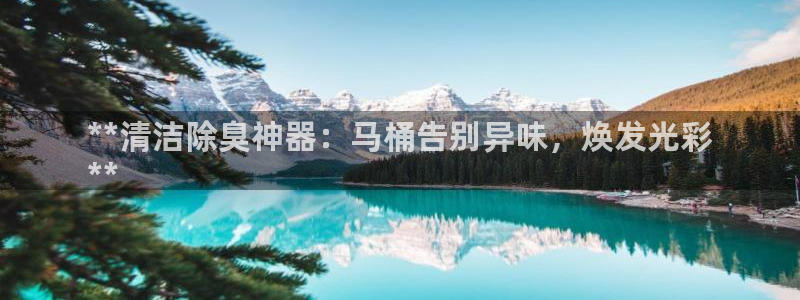 尊龙新版app首页：**清洁除臭神器：马桶告别异味，焕发