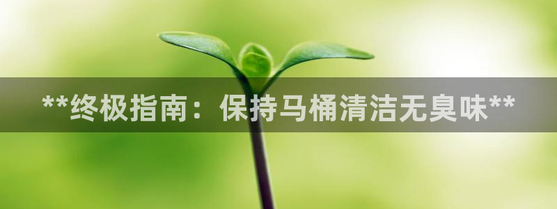 尊龙d88平台版下载：**终极指南：保持马桶清洁无臭味*