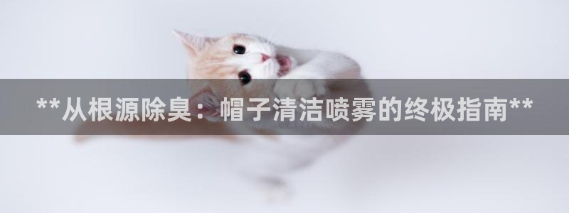 尊龙凯时 人生就是搏首页：**从根源除臭：帽子清洁喷雾的