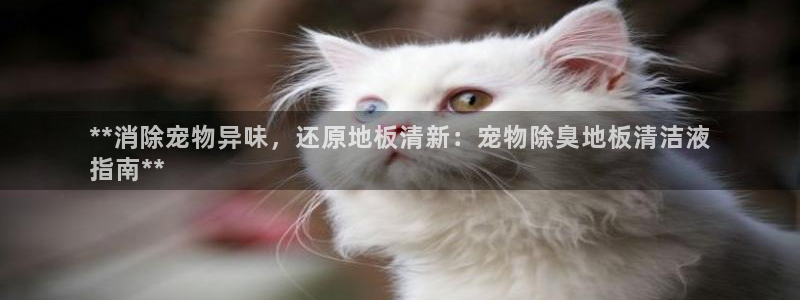 尊龙凯时白家乐：**