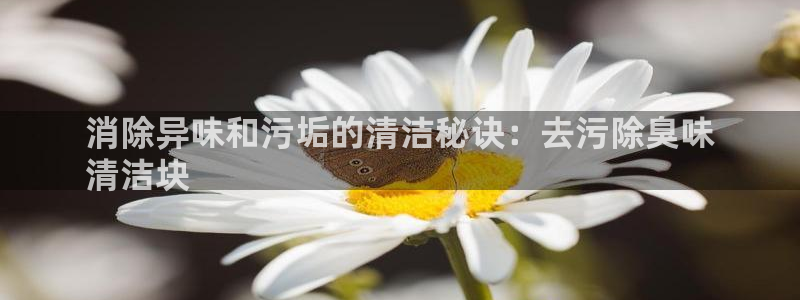 尊龙凯时平台入口：消除异味和污垢的清洁秘诀：去污除臭味
