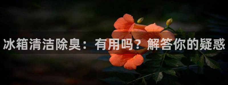 尊龙旗舰app：冰箱