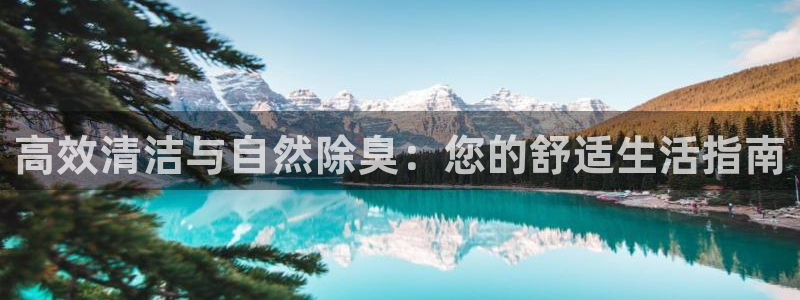 凯时国际网站域名