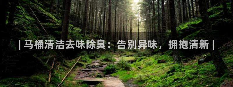 尊龙版末代皇帝：| 马桶清洁去味除臭：告别异味，拥抱清新