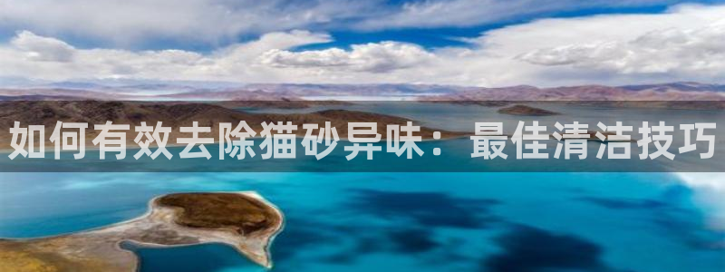 尊龙app登录不了：如何有效去除猫砂异味：最佳清洁技巧