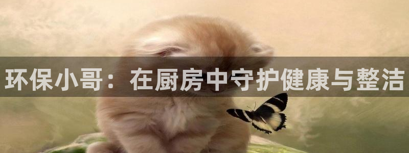 凯时官网手机版首页