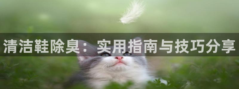 尊龙凯时不给提现怎么办