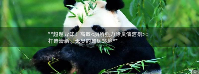 尊龙集团官网：**超越异味！高效<厕所强力除臭清洁剂>：