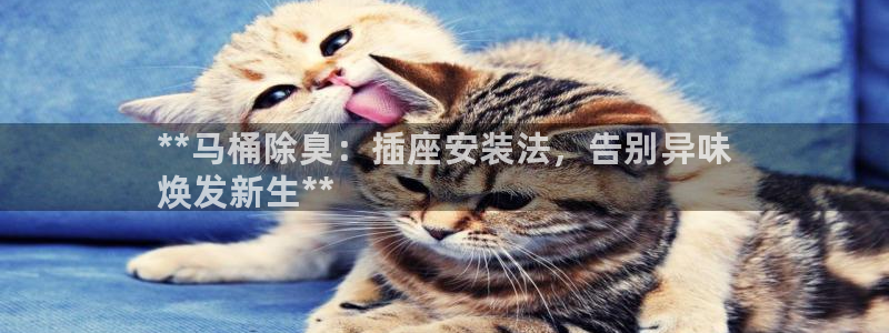 凯时k66官网登录：**马桶除臭：插座安装法，告别异味
