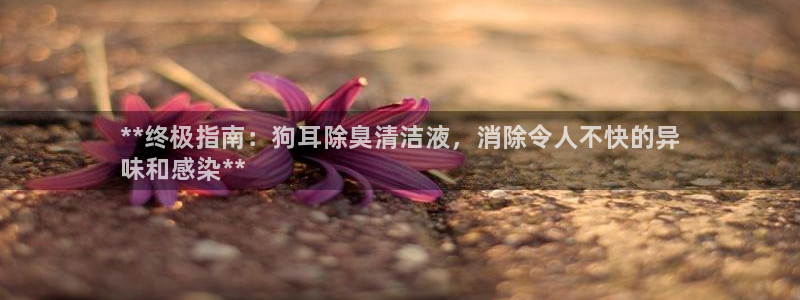 尊龙d88官网新版：