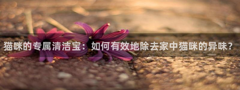 尊龙凯时福米推荐人