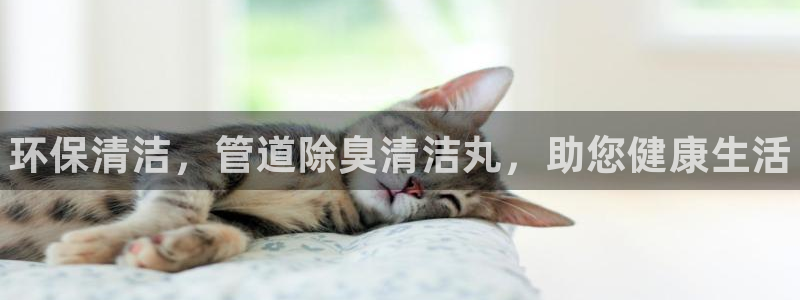 尊龙凯时为什么输了钱