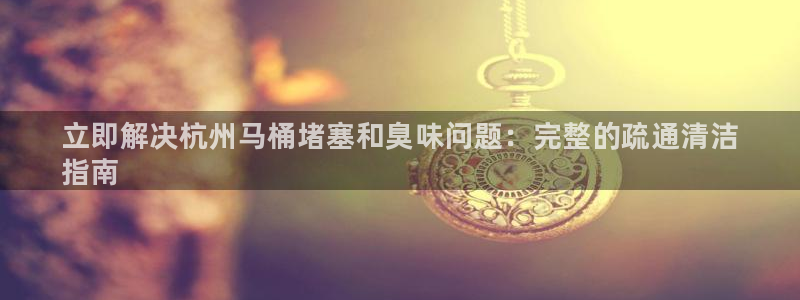 尊龙凯时ag旗舰厅官：立即解决杭州马桶堵塞和臭味问题：完