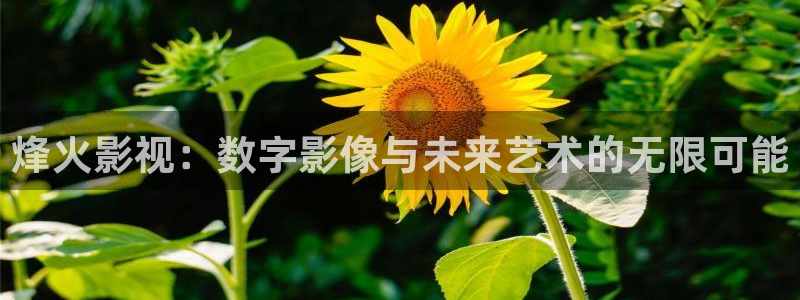 新月格格三米影视：烽火影视：数字影像与未来艺术的无限可能