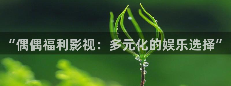 三米影院神马影院：“偶偶福利影视：多元化的娱乐选择”