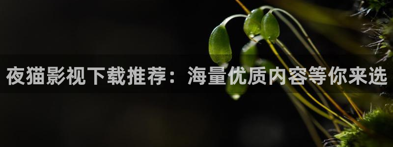 神马影院三米：夜猫影视下载推荐：海量优质内容等你来选