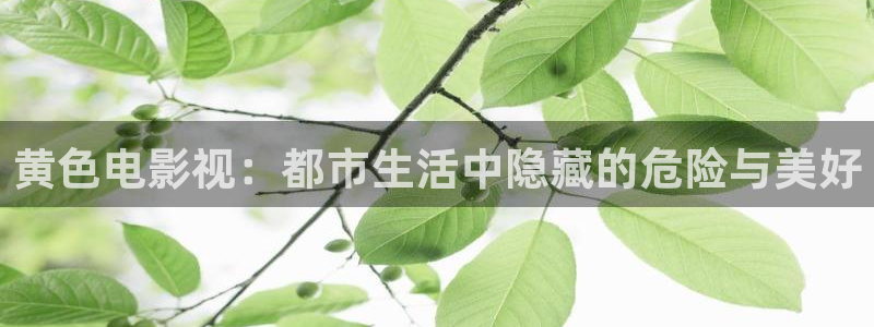 三米影视免费观看：黄色电影视：都市生活中隐藏的危险与美好