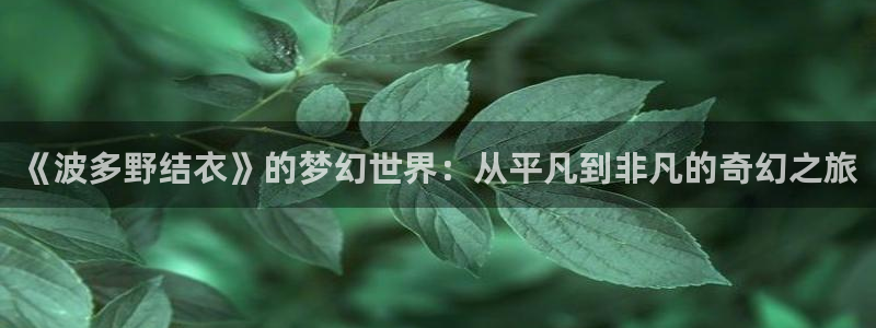三米影视电视剧免费播放：《波多野结衣》的梦幻世界：从平凡到非凡的奇幻之旅