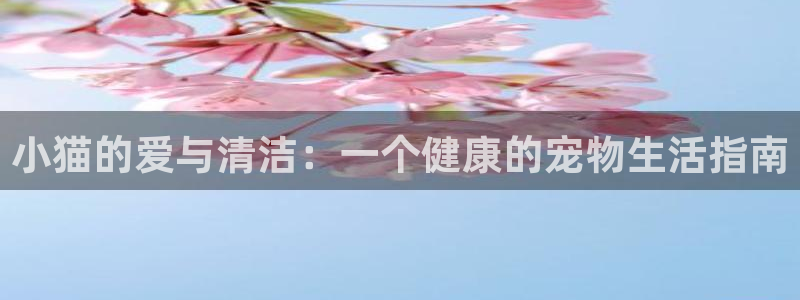 尊龙凯时app产品介绍