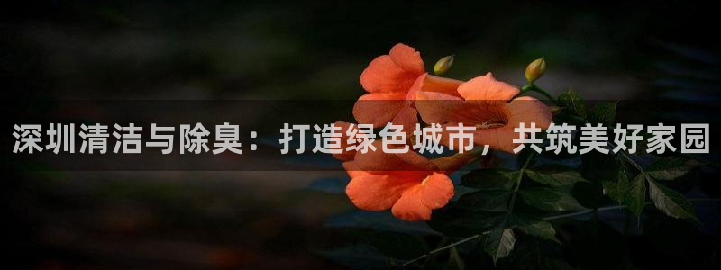 尊龙网址是选访问zd207