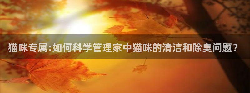 尊龙凯时怎么样没听说过