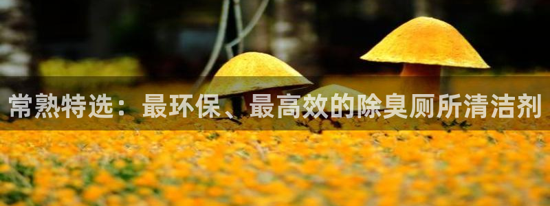 尊龙凯时d5138