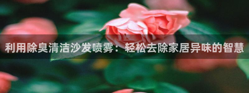 新版尊龙99