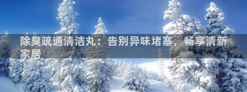 尊龙官网手：除臭疏通