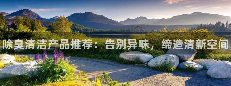 尊龙,人生就是博!登录国际：除臭清洁产品推荐：告别异味，