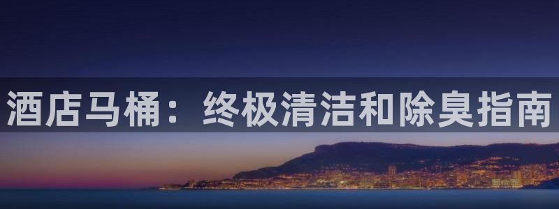 尊龙官网手机版下载：酒店马桶：终极清洁和除臭指南