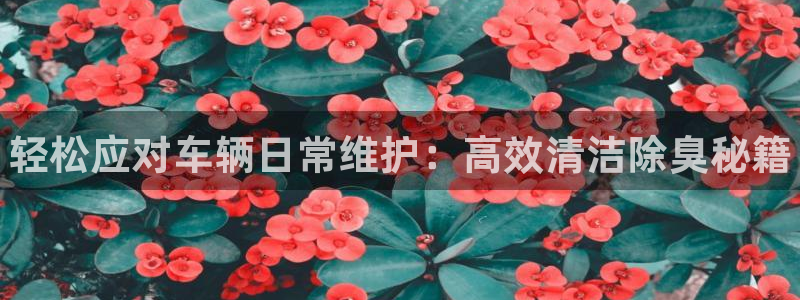 尊龙实业